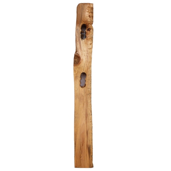 Wood Products 03x06x11.PINE.SR-LP.PT.RO