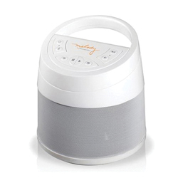 Bluetooth & Wireless Speakers