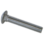 Carriage Bolts