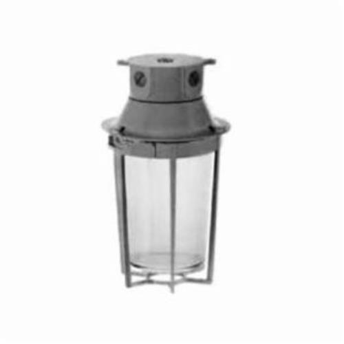 Appleton® VPX1050G