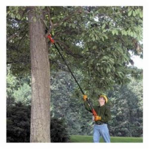 Black & Decker LPP120 Pole Saw, 8, Cordless, Cut Branches of Up to 6, 20V  Max Series