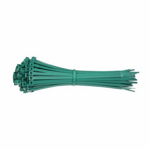 Brady® 145589