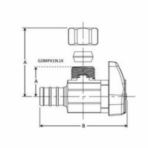 BrassCraft® G2BRPX19X C 43005