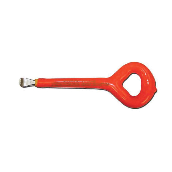Cementex IVSRT-1