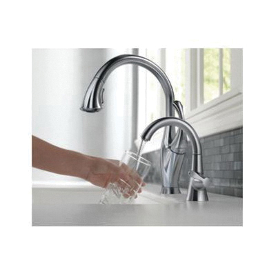 DELTA® RP574 17102