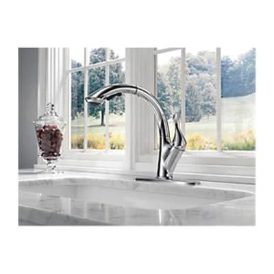 Delta® 4353-RB-DST 20437