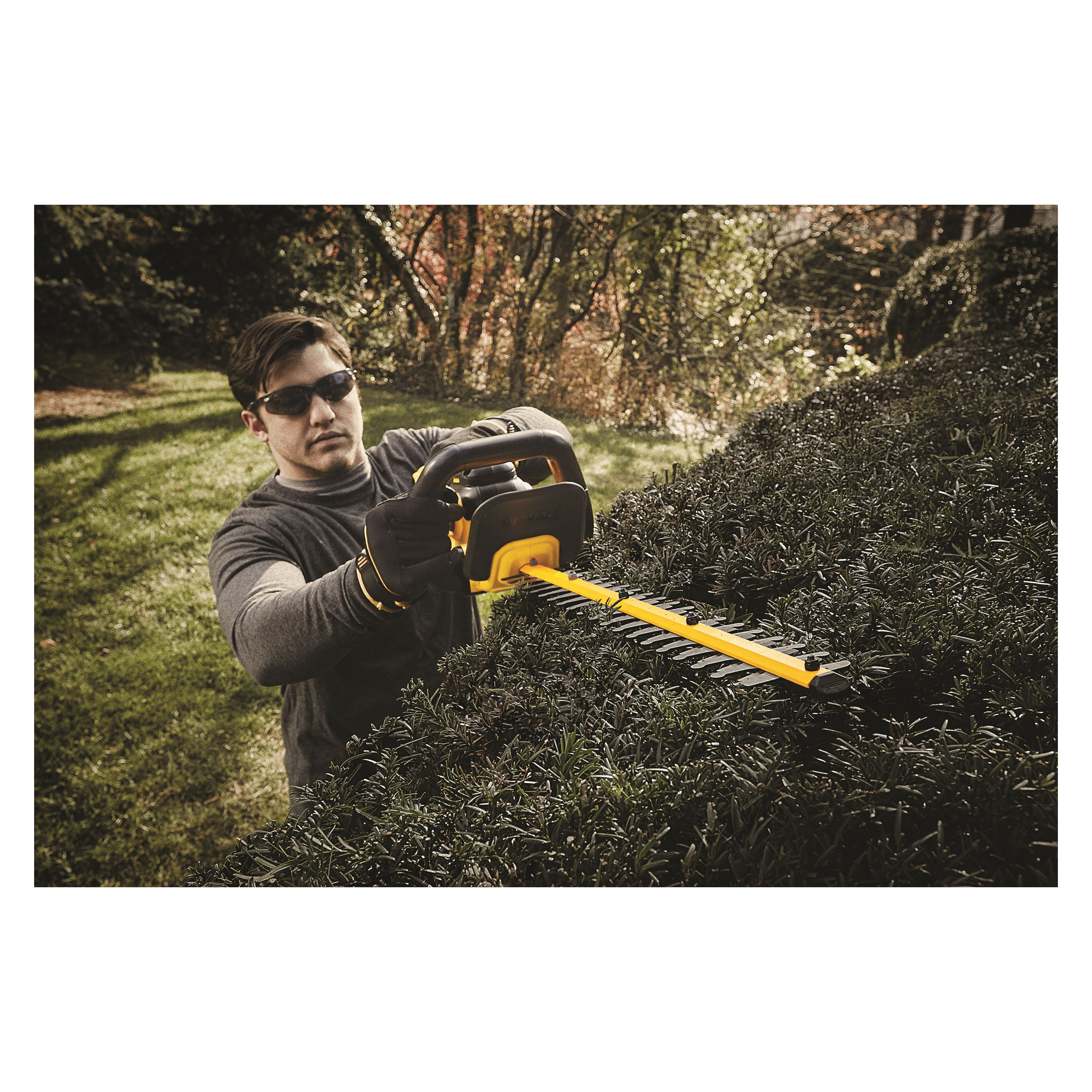 DeWALT® DCHT820B