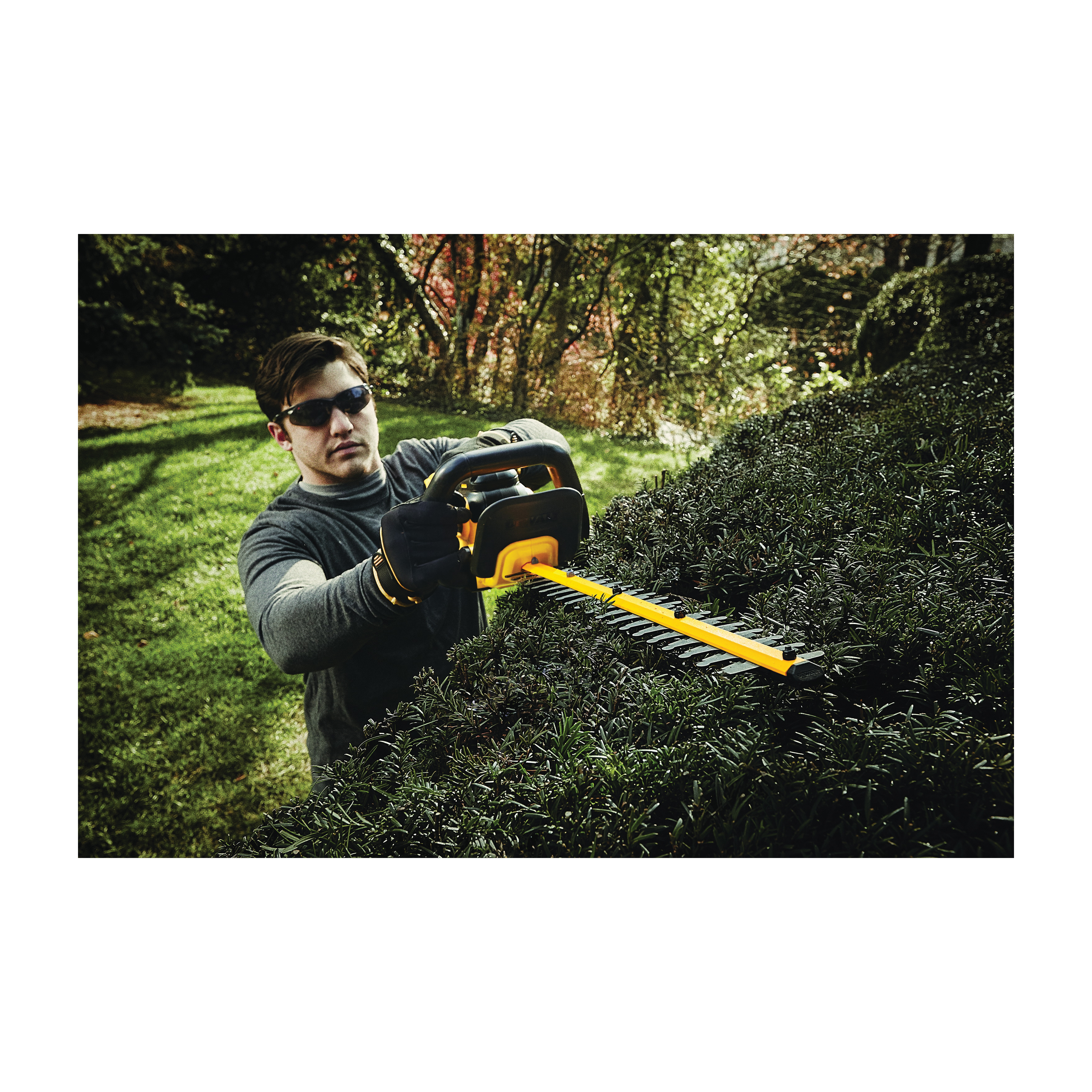 DeWALT® DCHT820P1