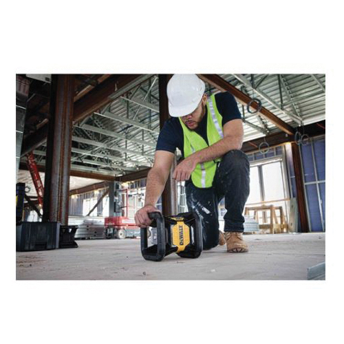 DeWALT® DW079LR