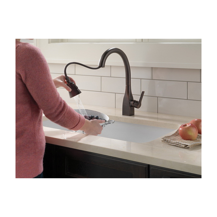 Delta&reg; 9183-RB-DST 77527