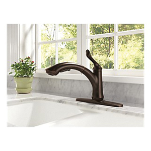 Delta® 4353-RB-DST 20437