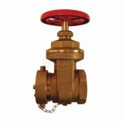 Hose Angle Valve | 2-1/2 in. FNPT x MNST | Cast Brass | 300 PSI