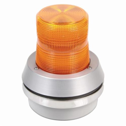 Edwards Signaling™ 51A-G5-20W