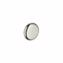 AXOR 16911830 Montreux Faucet Color Cap Set, Porcelain, Polished Nickel, Import
