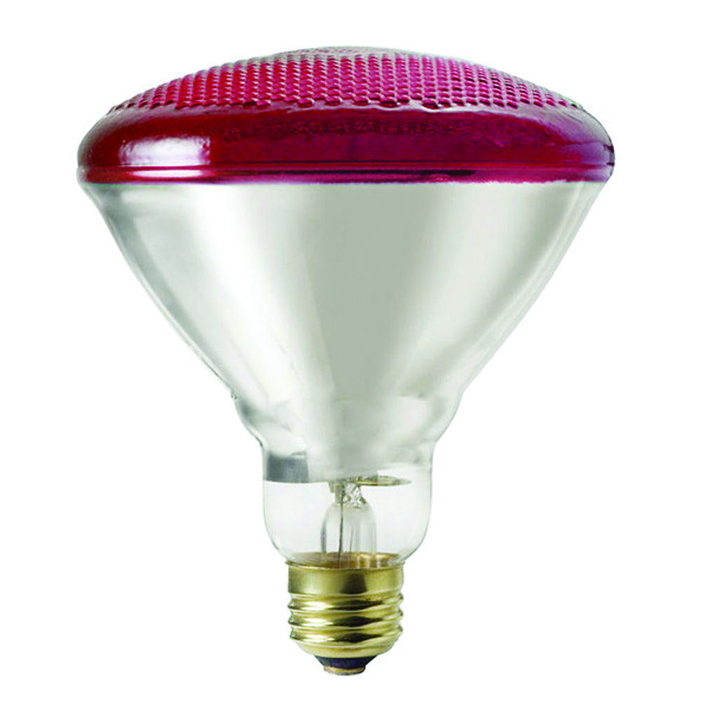 Shat-R-Shield® 01672