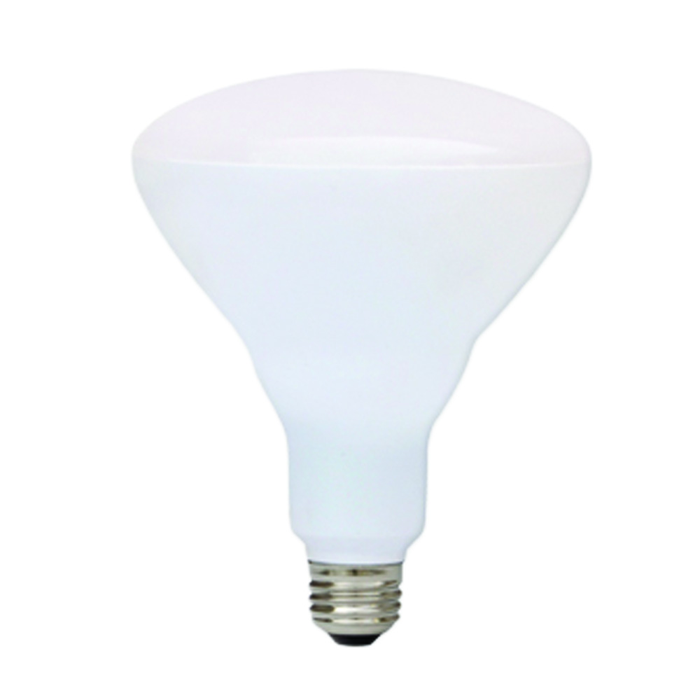 Shat-R-Shield® 06304Q