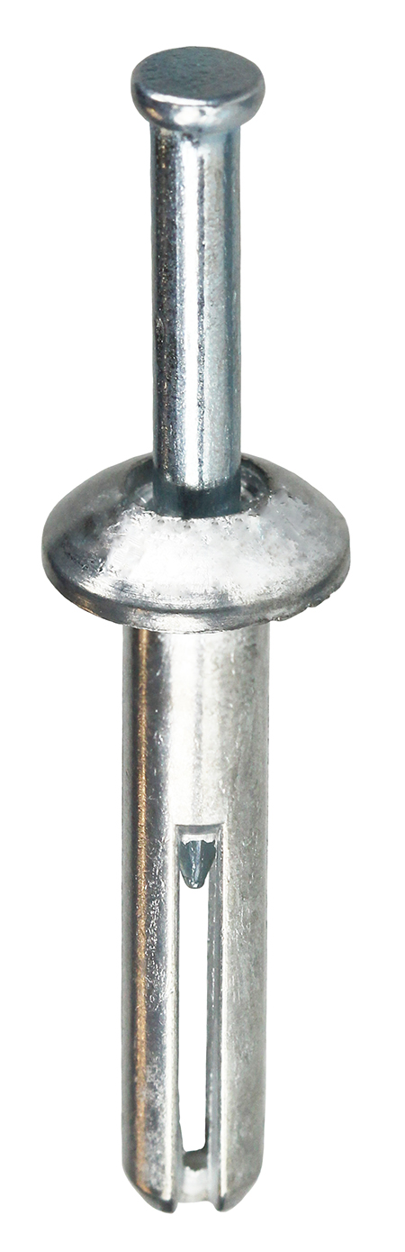 Dottie® ZA78