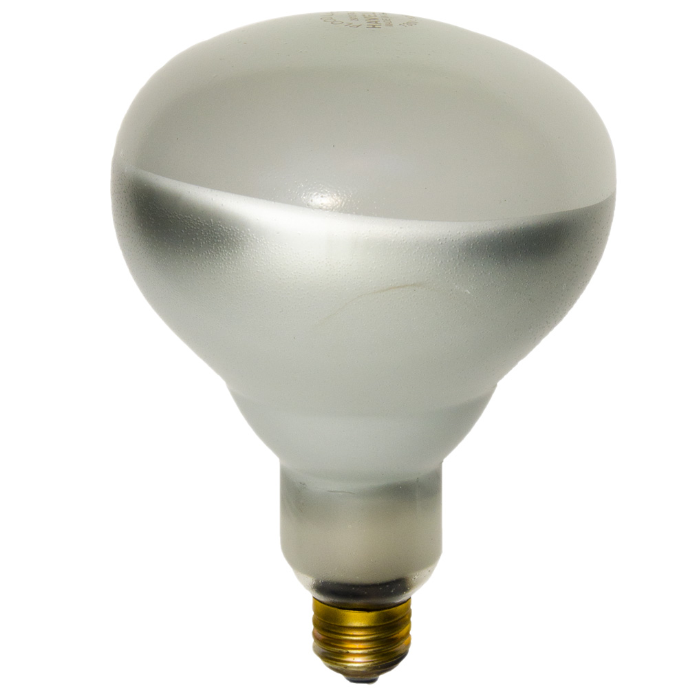 Shat-R-Shield® 01730