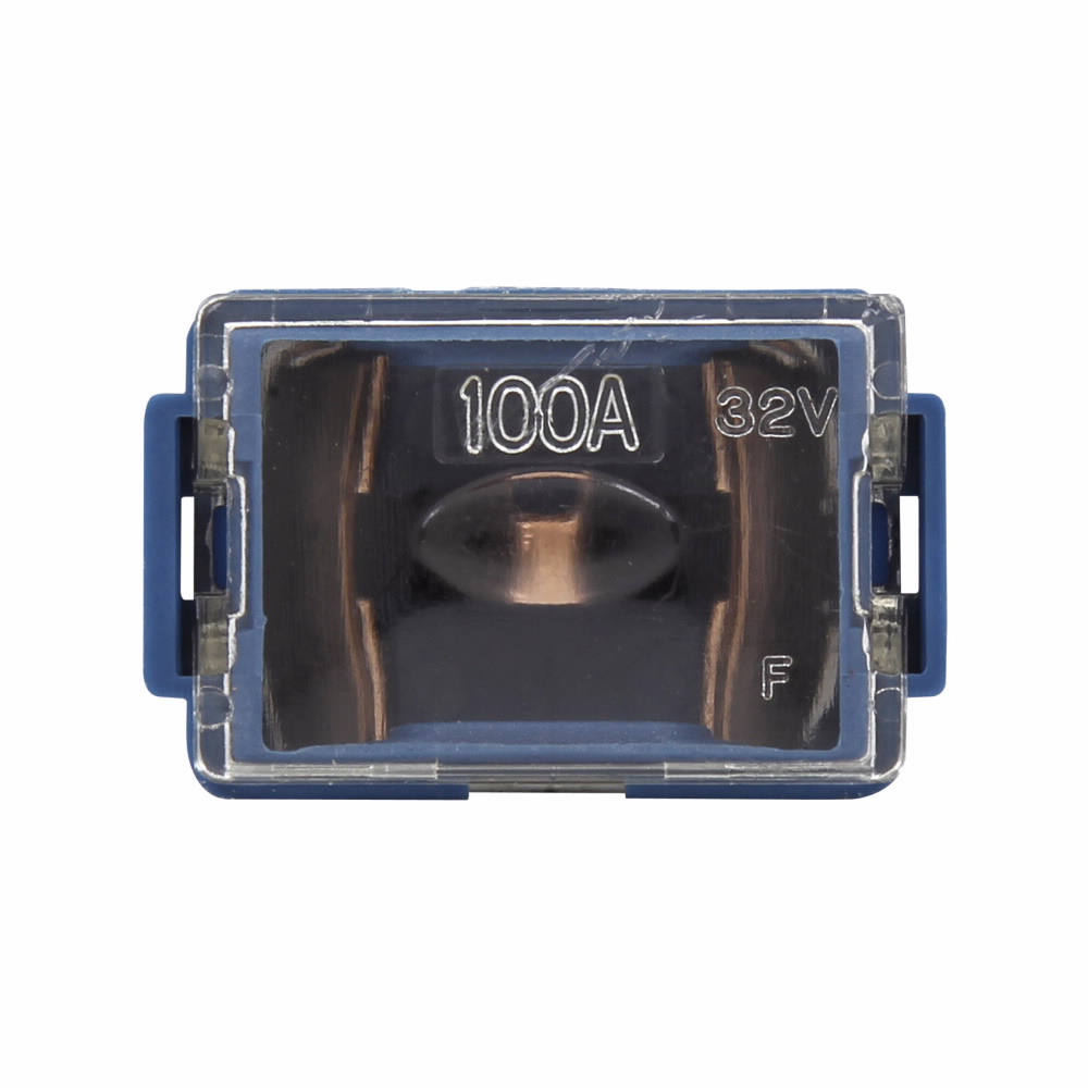 Bussmann FLM-100