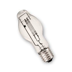 Lu100 bulb deals