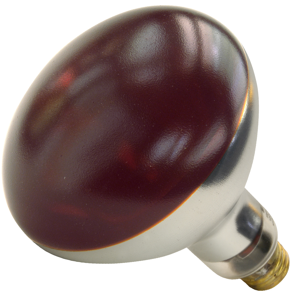 Shat-R-Shield® 01698W