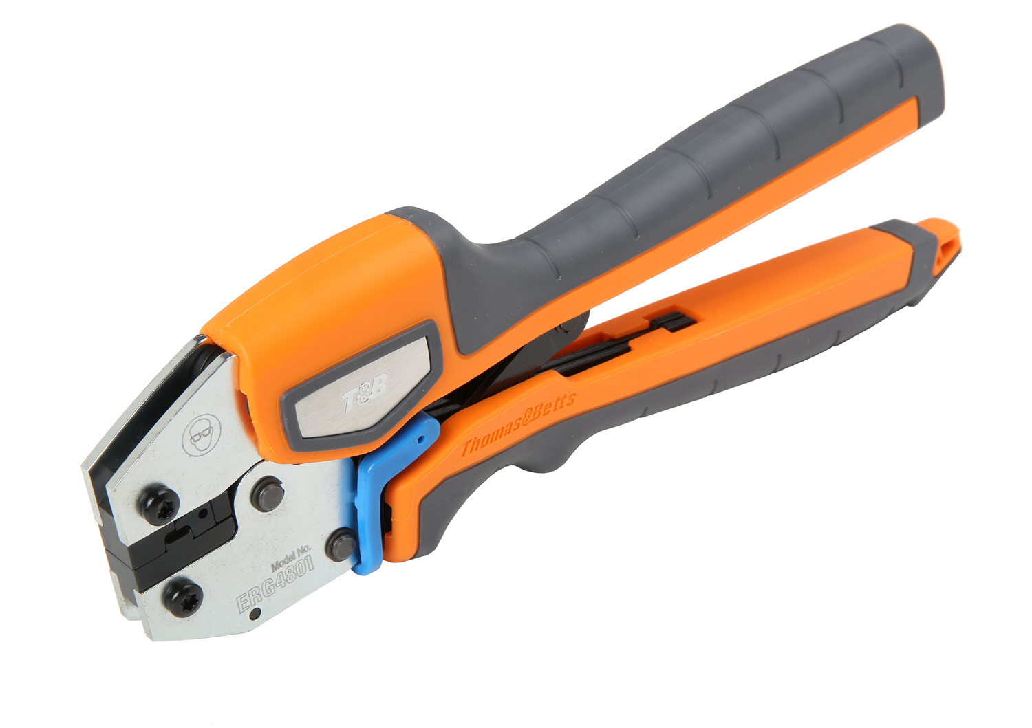 Dragon Tooth® ERG4801
