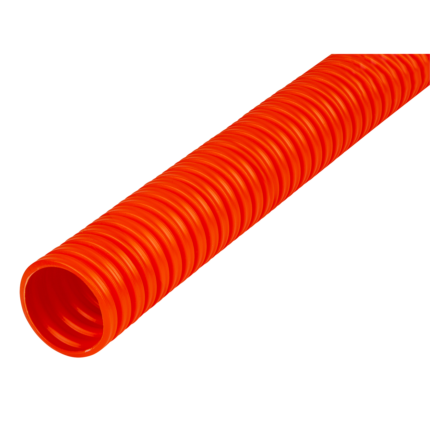 Carlon® A6D2S1JNNB500