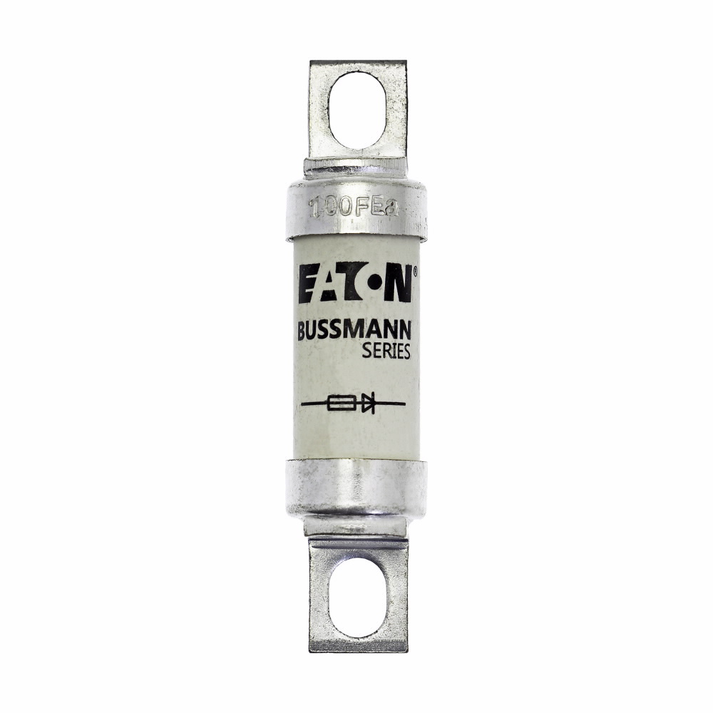 Bussmann 100FE