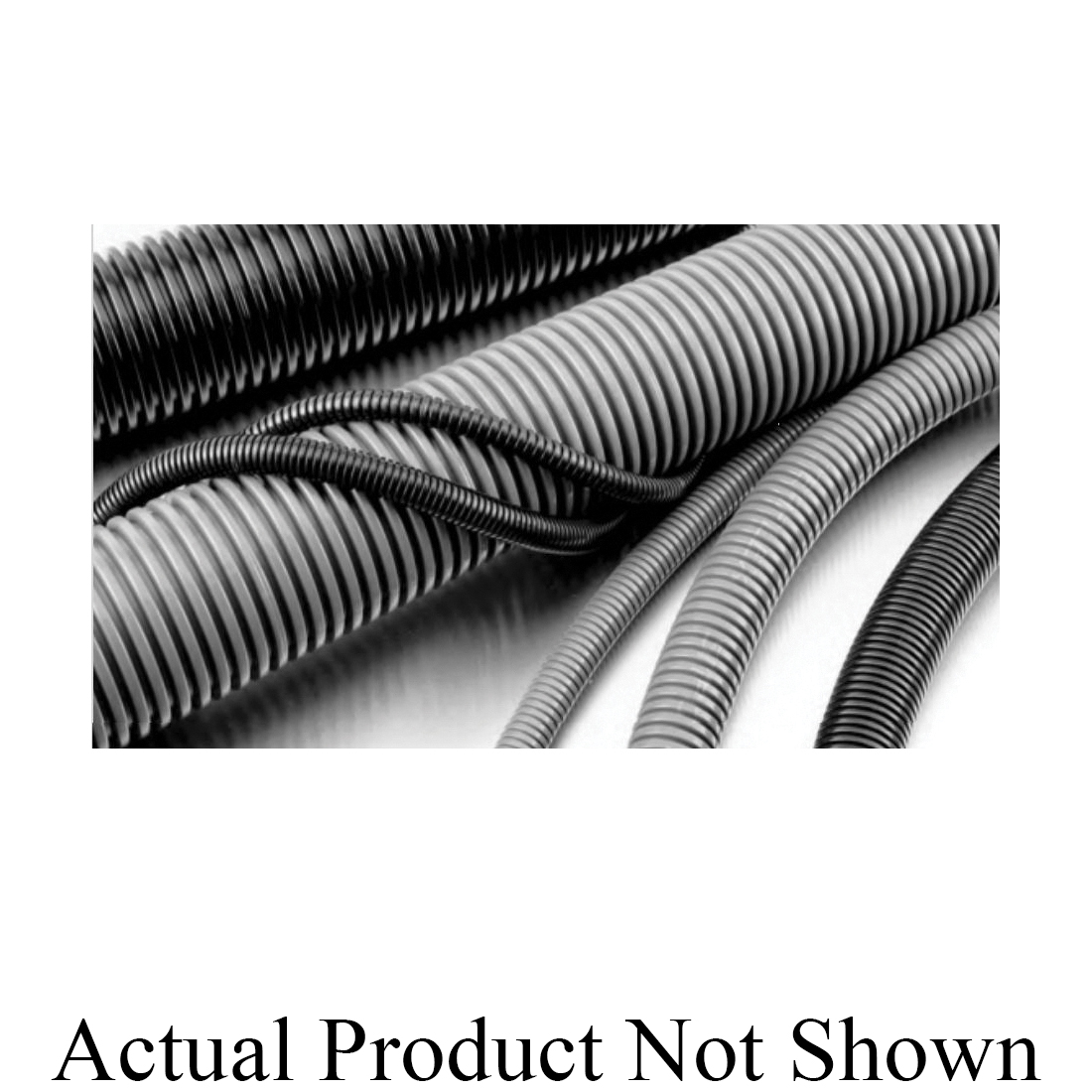 MOLTEC PMEFK23.50 Eddy Group Limited