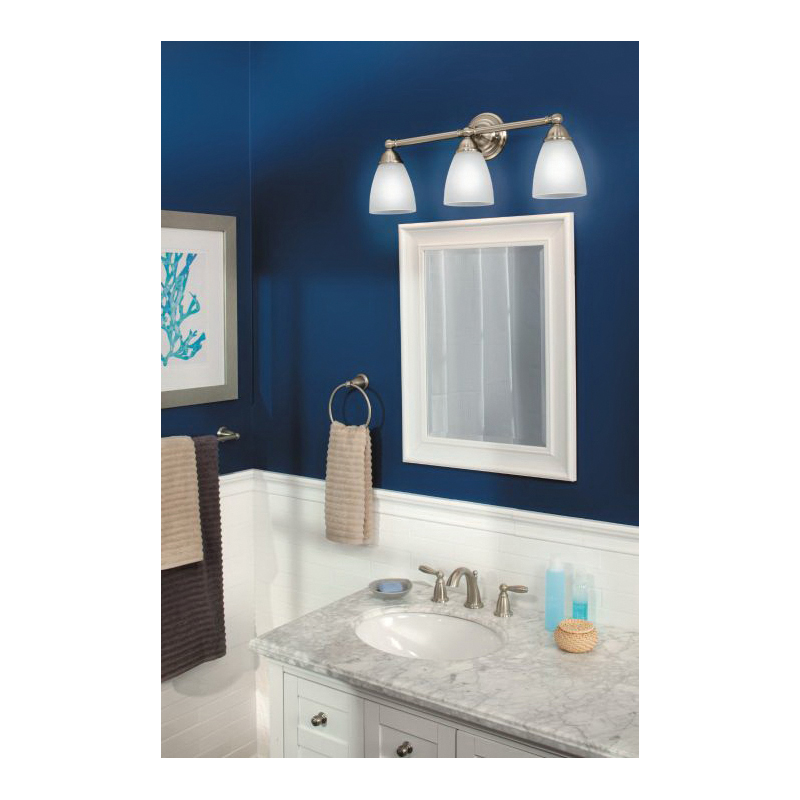 Moen® YB2263BN