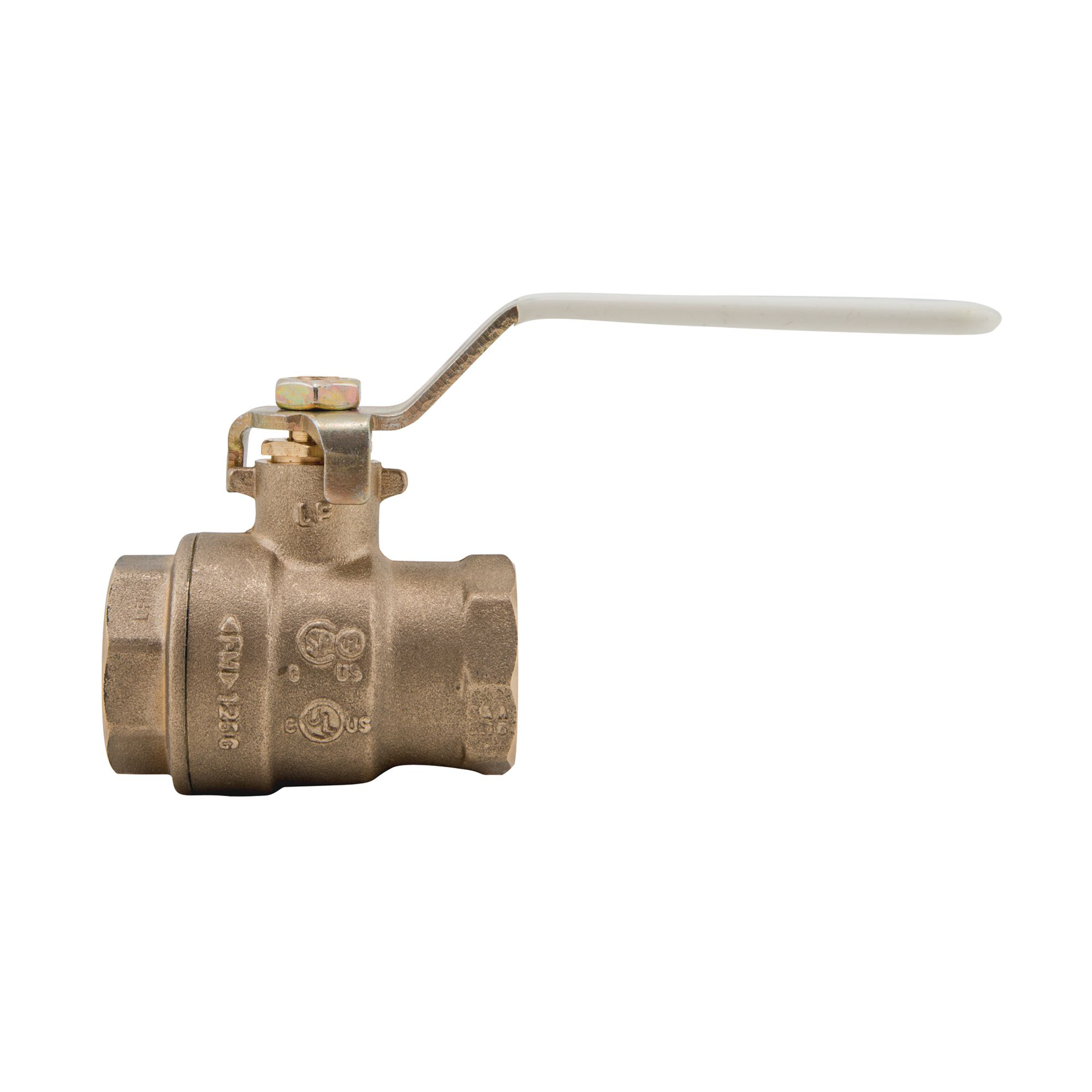 WATTS® 0555105 51963