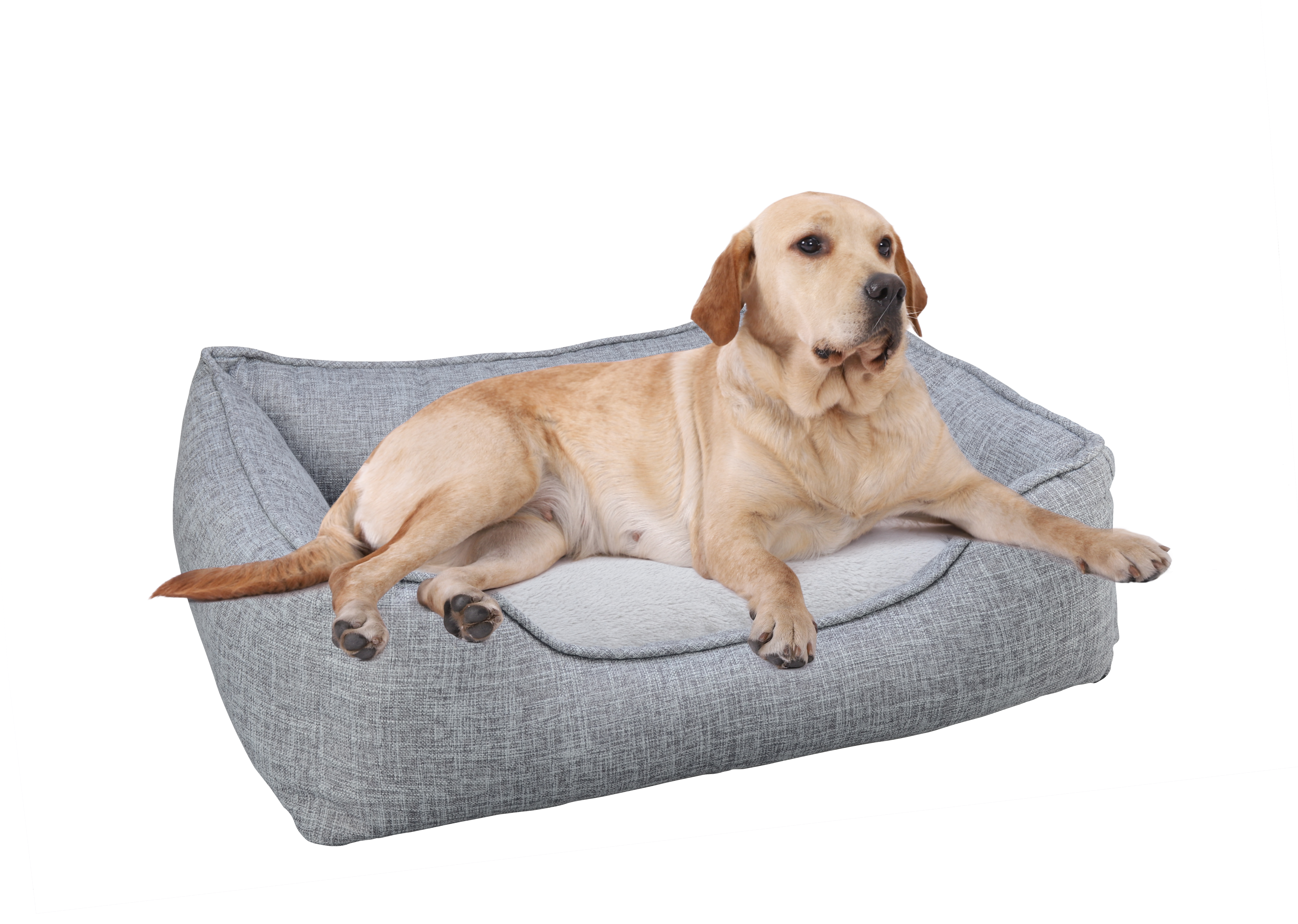 Main Street Pet MSP-018