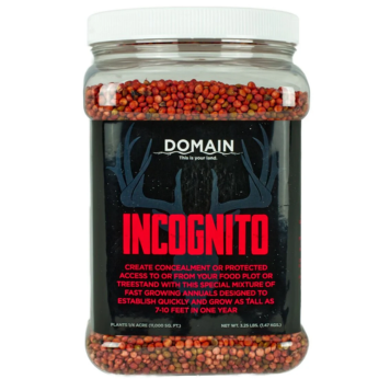 Domain INCFP325
