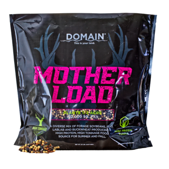 Domain MLFP20