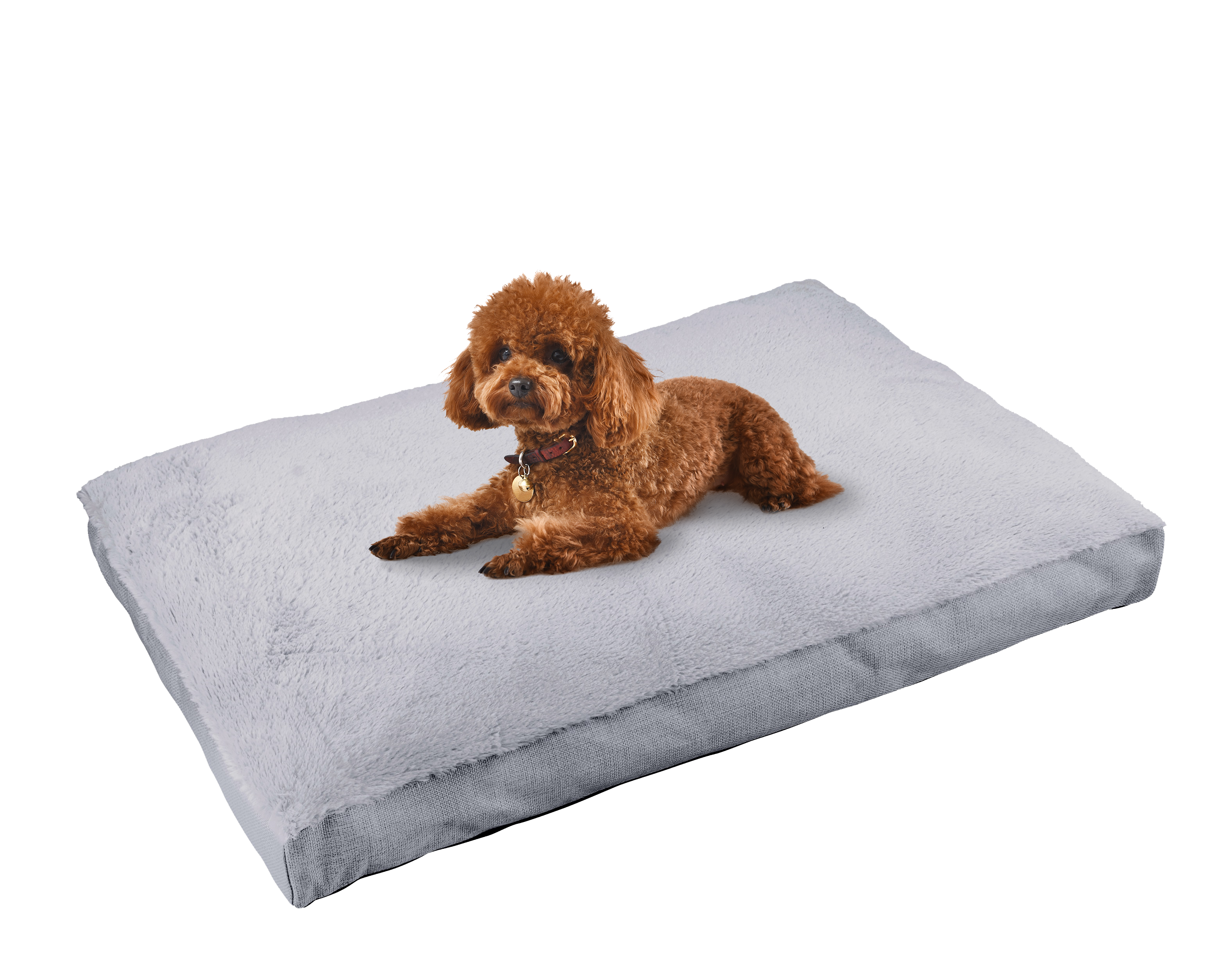 Main Street Pet MSP-021