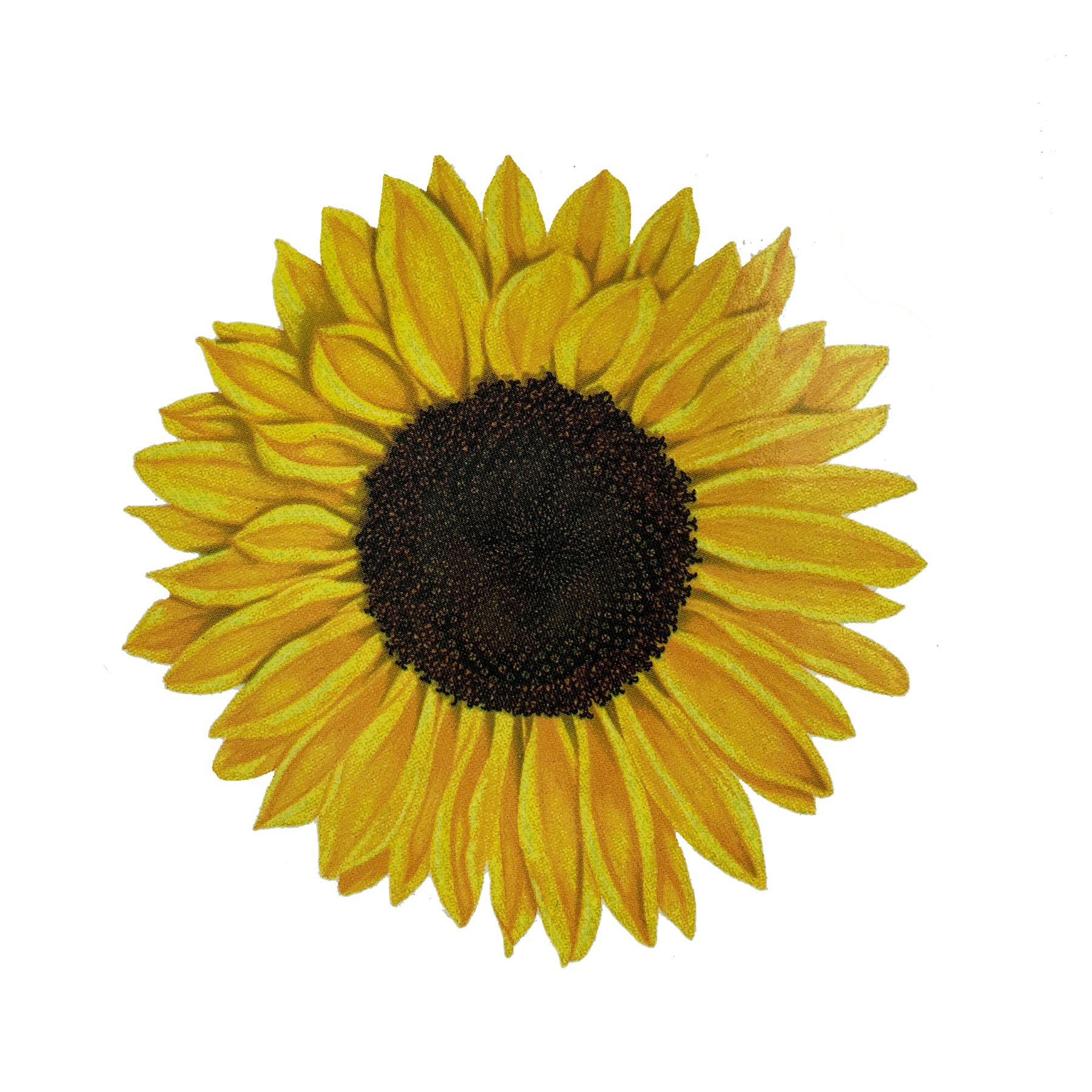 Sticker Art Sunflower