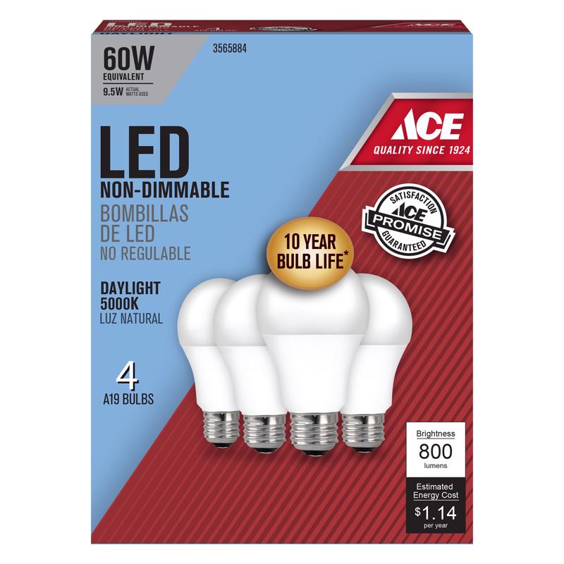ACE A80085010KLED4 LED Bulb, General Purpose, A19 Lamp, 60 W Equivalent, E26 Lamp Base, Frosted, Daylight Light - 2