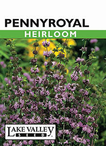 Lake Valley Seed 692 Herb Seed, Pennyroyal - 1