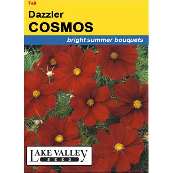 Lake Valley Seed 373 Cosmos Dazzler Seed, Summer Bloom, Rosy Pink Bloom - 1