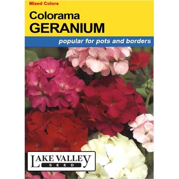 Lake Valley Seed 437 Geranium Colorama Seed, All Season Bloom, Multi-Color Bloom - 1