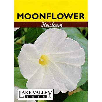 Lake Valley Seed 453 Moonflower Seed, Summer Bloom, White Bloom - 1