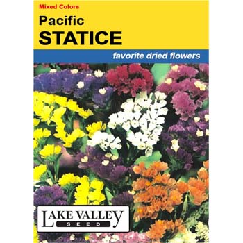 Lake Valley Seed 288 Pacific Statice Seed, Summer Bloom, Multi-Color Bloom - 1