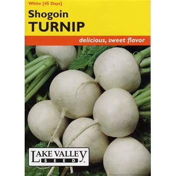 Lake Valley Seed 313 Vegetable Seed, White Shogun Turnip - 1