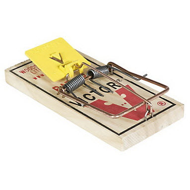 Mouse & Rat Traps
