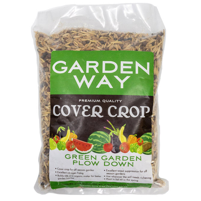 Ground Cover Plants