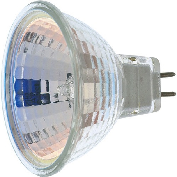 Halogen Bulbs