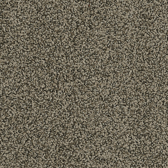 Indoor Carpet
