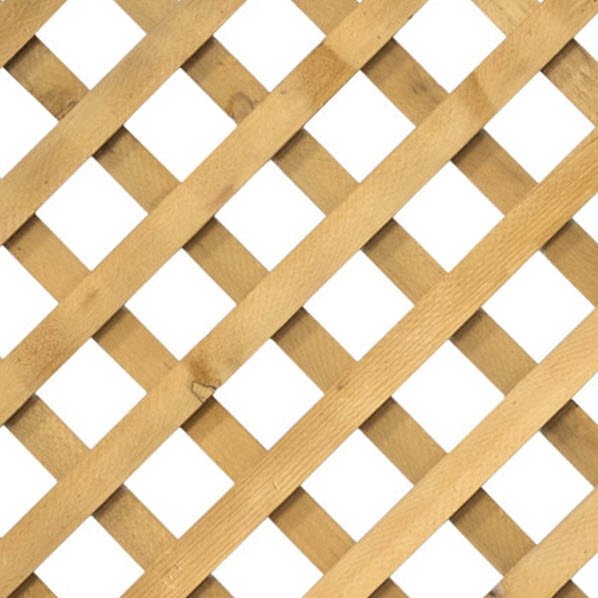 Lattice