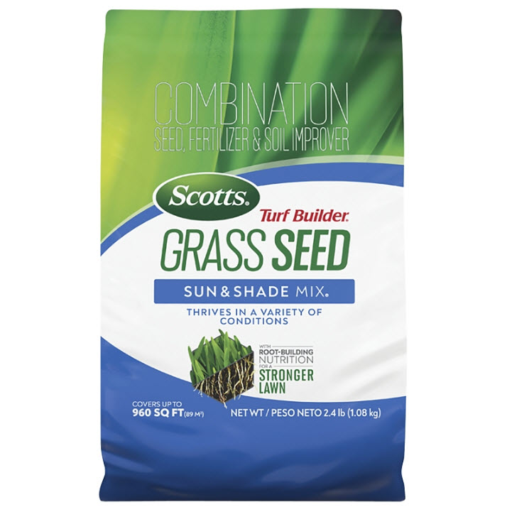Lawn Seed