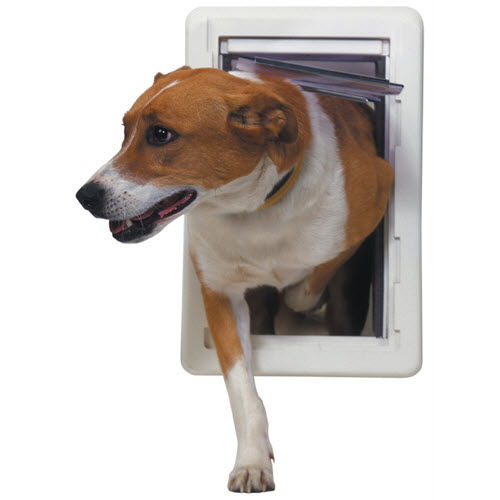 Pet Doors